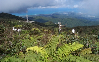 Meteorological station on a clear day in the cloud forest of Puerto Rico's Luquillo Mountains.